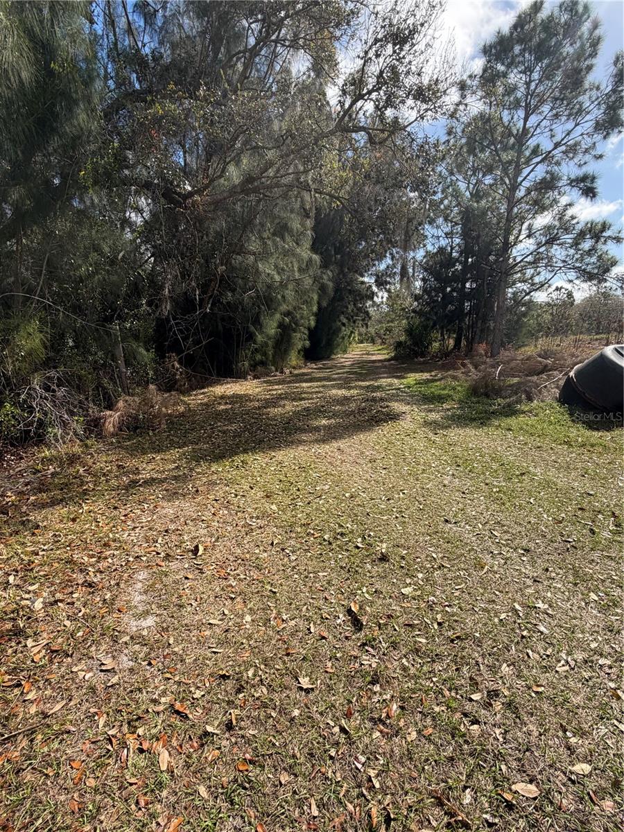 1211 NW EUCALYPTUS AVE, ARCADIA, FL — photo 15