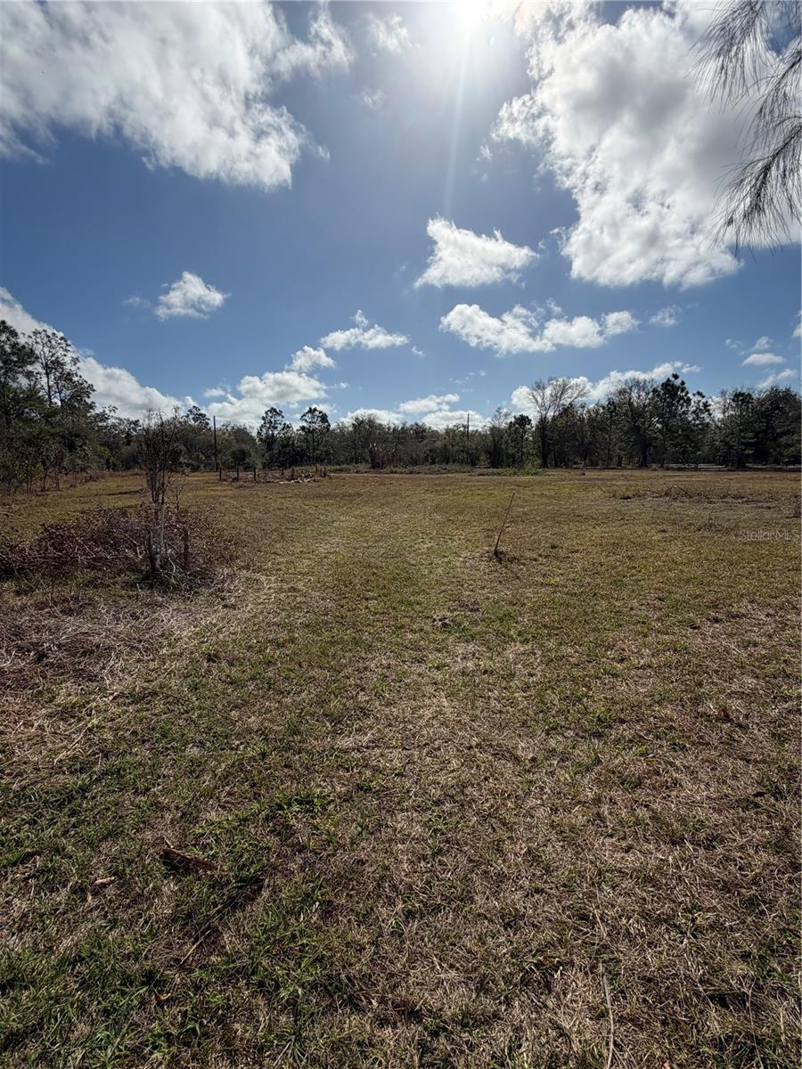 1211 NW EUCALYPTUS AVE, ARCADIA, FL — photo 17