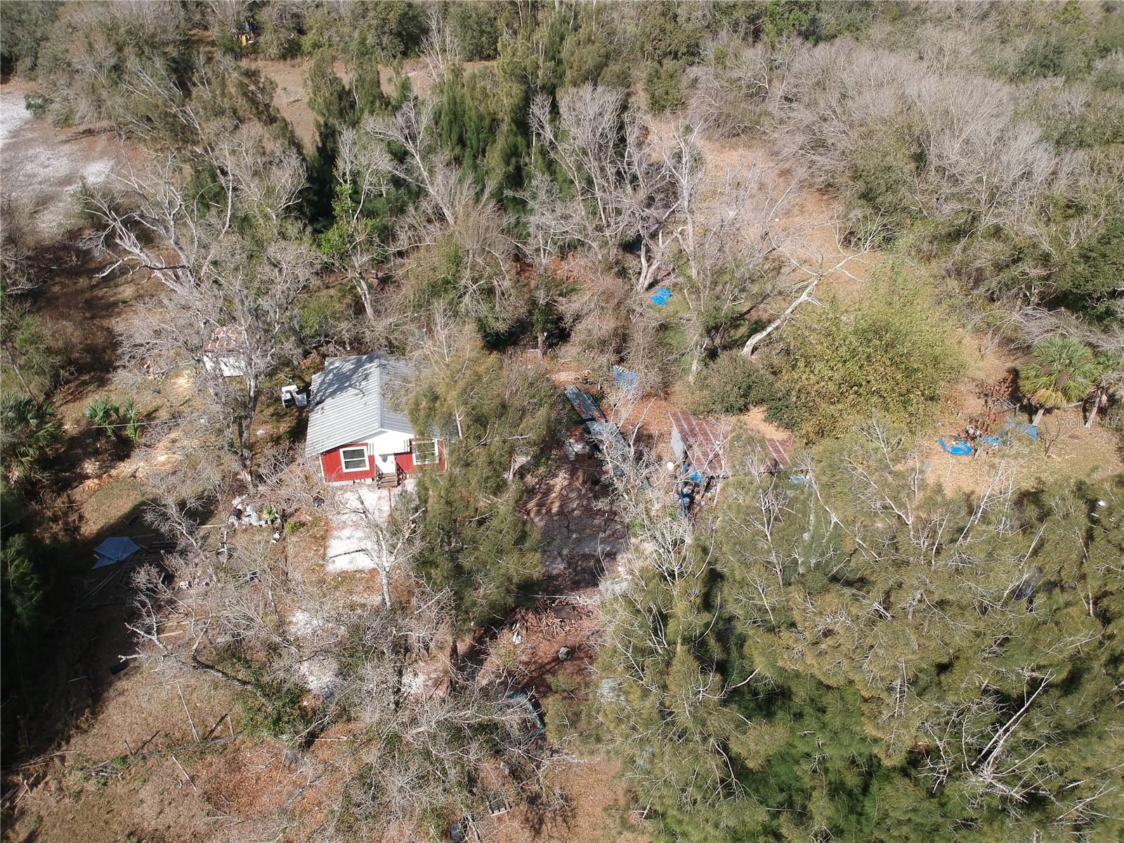 1211 NW EUCALYPTUS AVE, ARCADIA, FL — photo 20