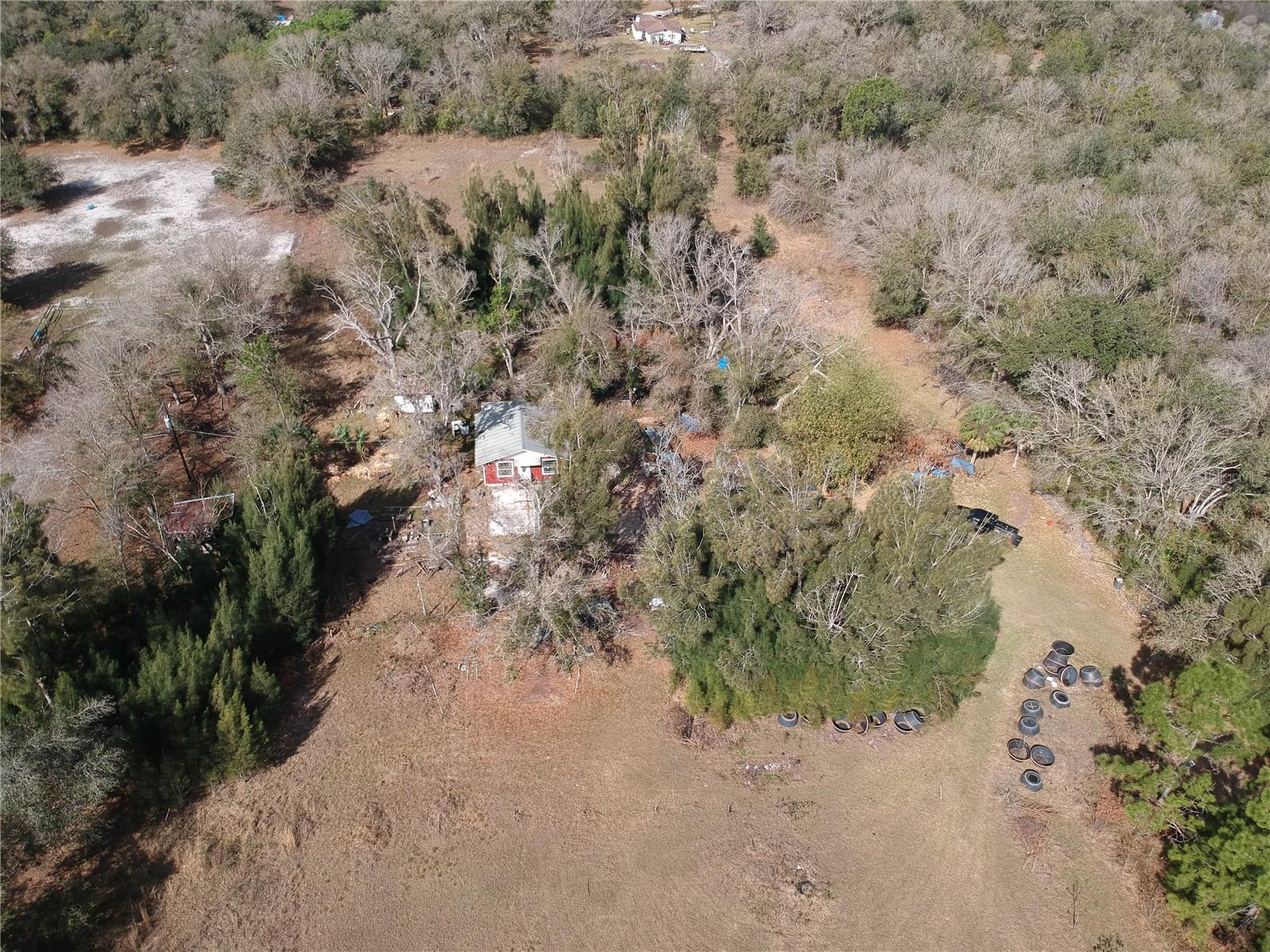 1211 NW EUCALYPTUS AVE, ARCADIA, FL — photo 22
