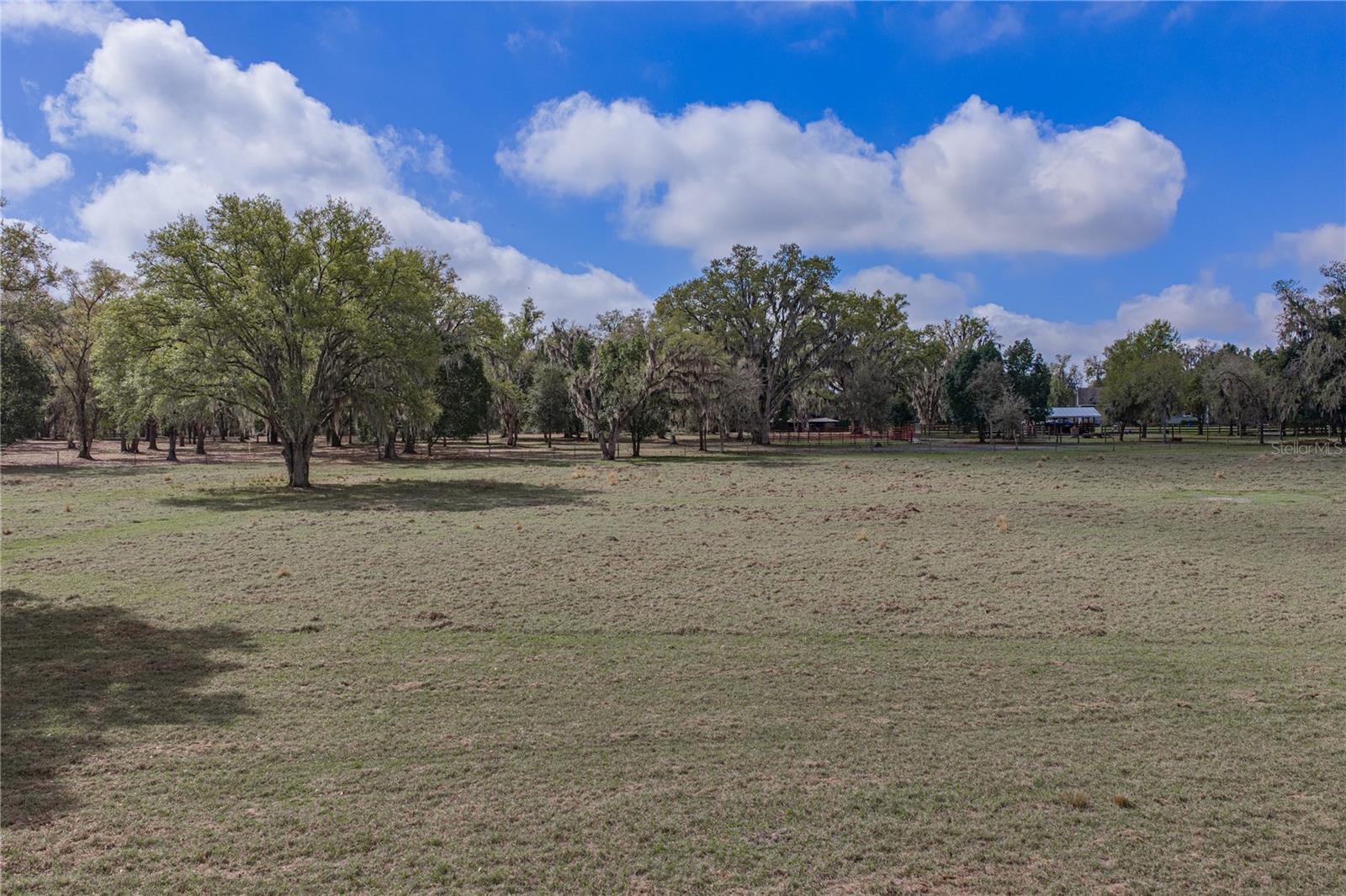 15131 BELLAMY BROTHERS BLVD, DADE CITY, FL — photo 86