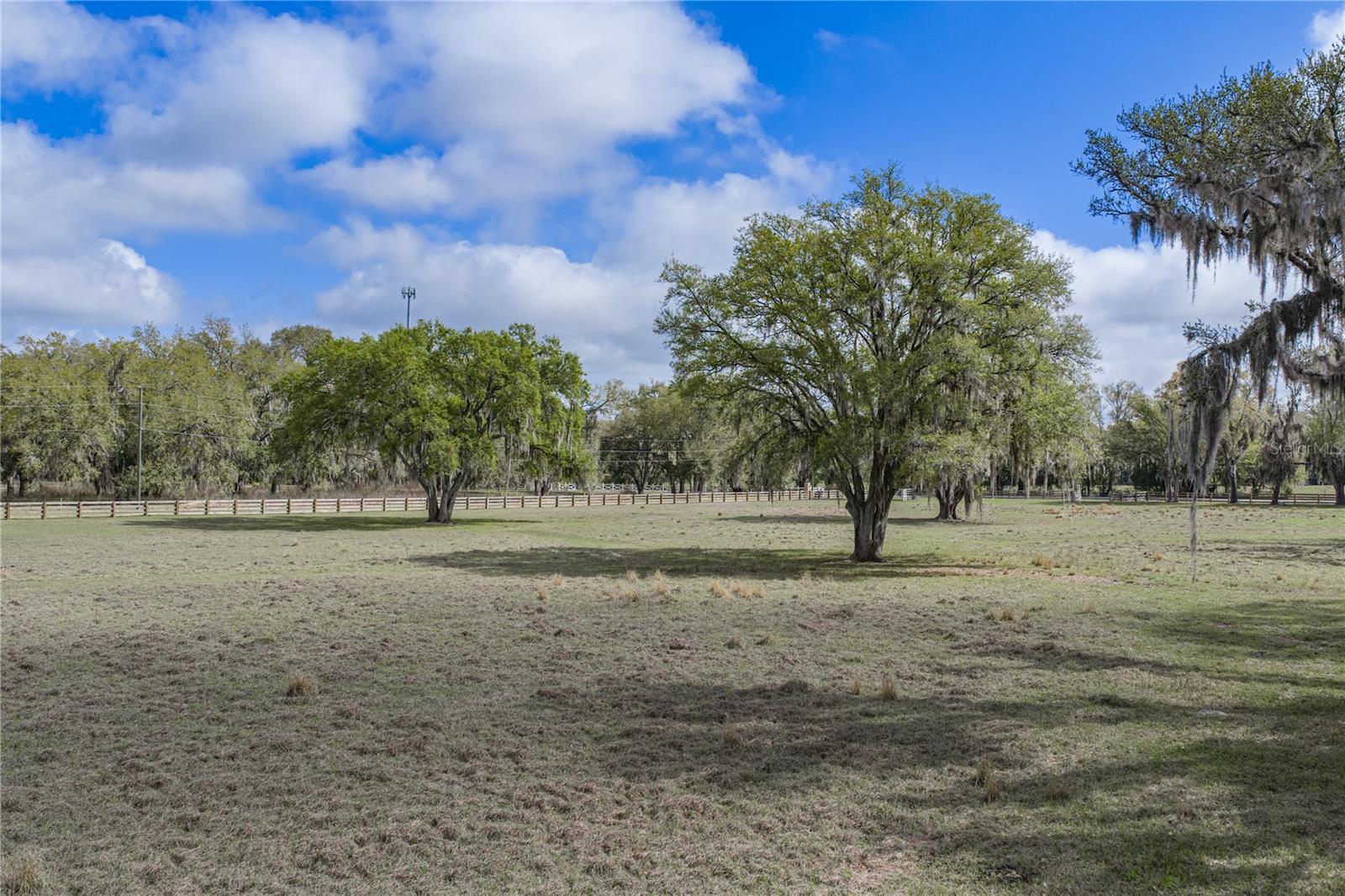15131 BELLAMY BROTHERS BLVD, DADE CITY, FL — photo 87