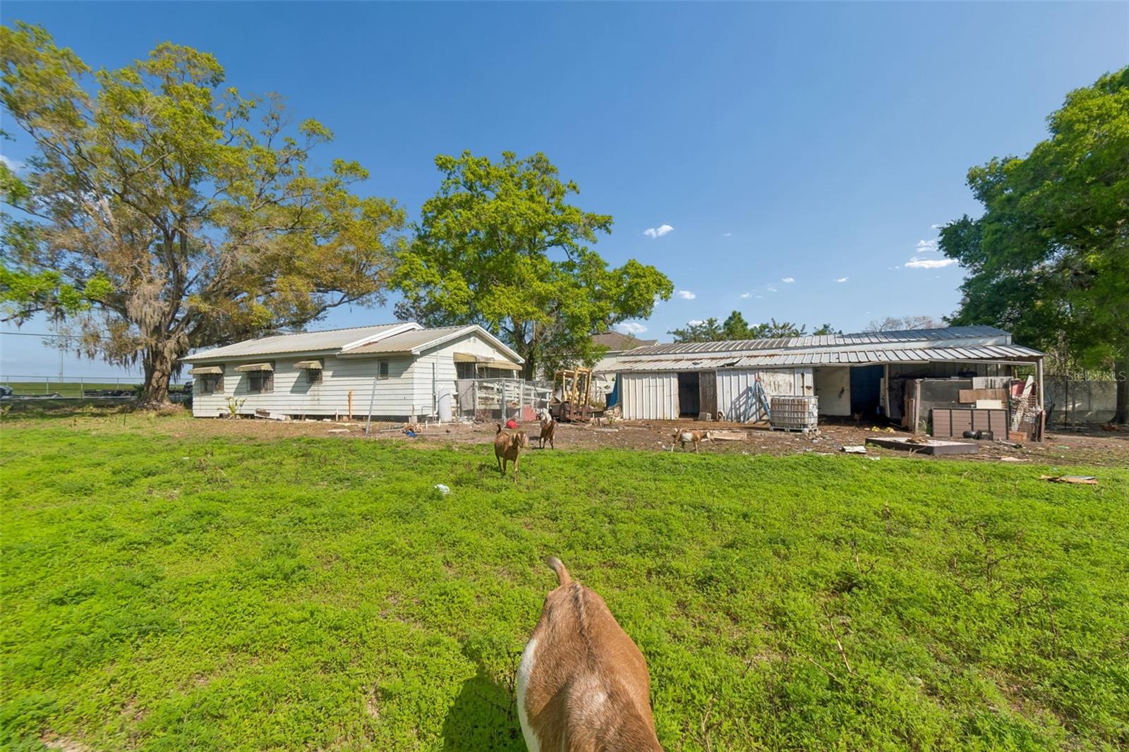 6213 ORIENT RD, TAMPA, FL — photo 49