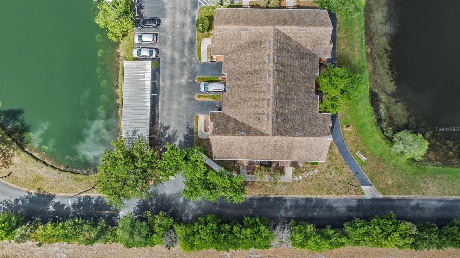 9846 LAKE CHASE ISLAND WAY, TAMPA, FL — photo 8