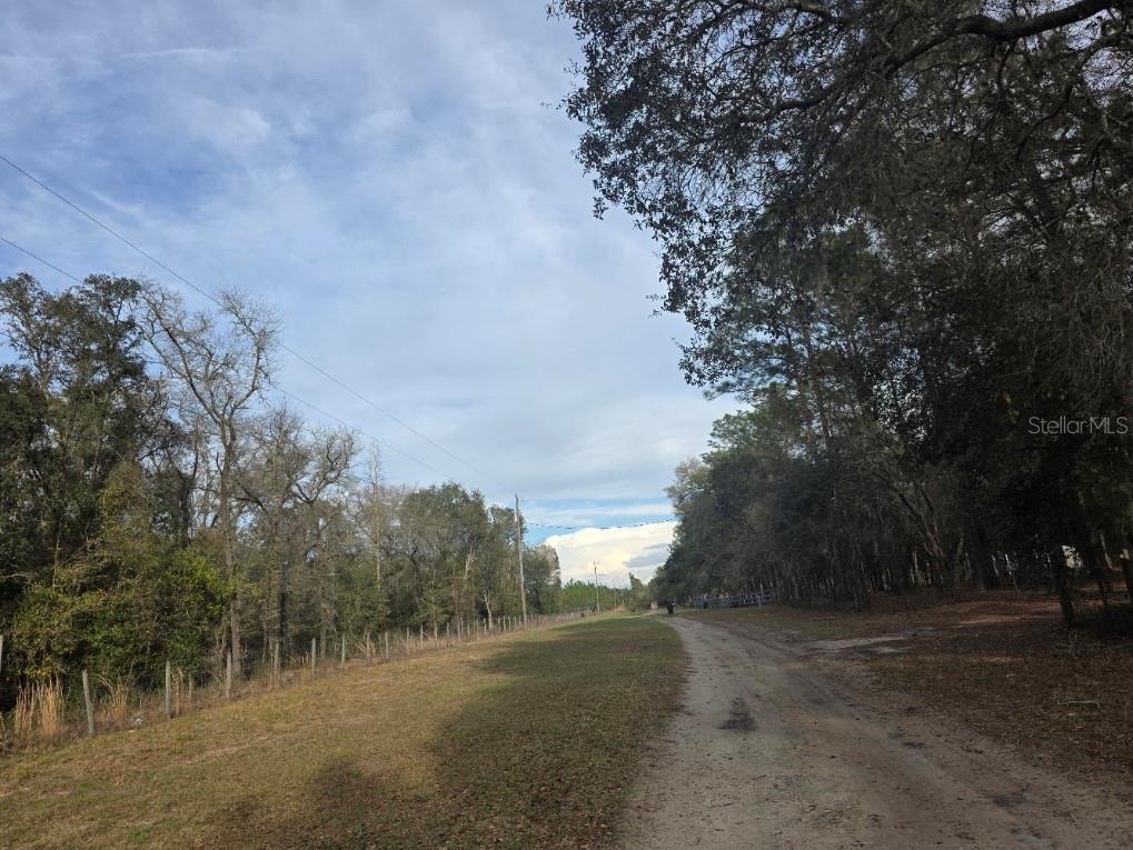 NE 62 PL, WILLISTON, FL