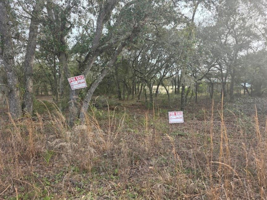 NE 62 PL, WILLISTON, FL — photo 2