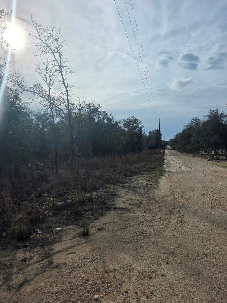 NE 62 PL, WILLISTON, FL — photo 3