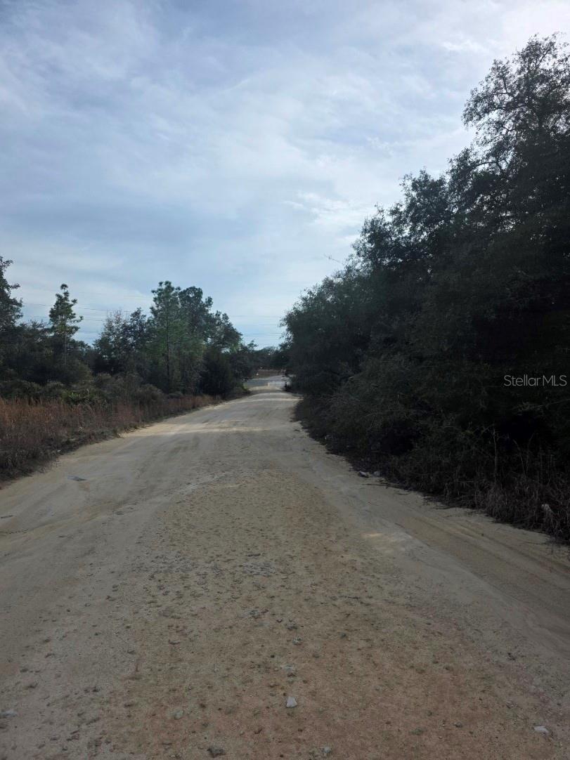 NE 62 PL, WILLISTON, FL — photo 4