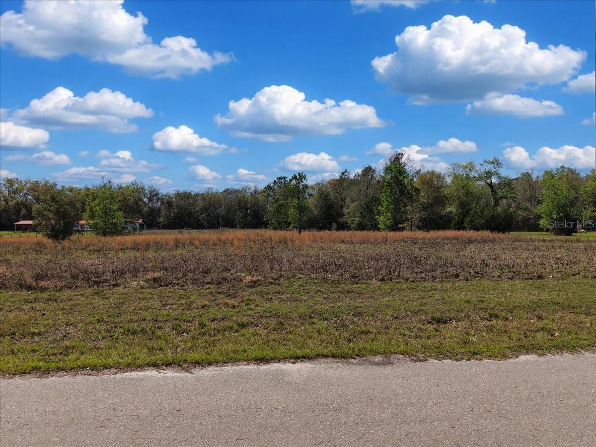 17350 NW 1ST AVE, TRENTON, FL — photo 4