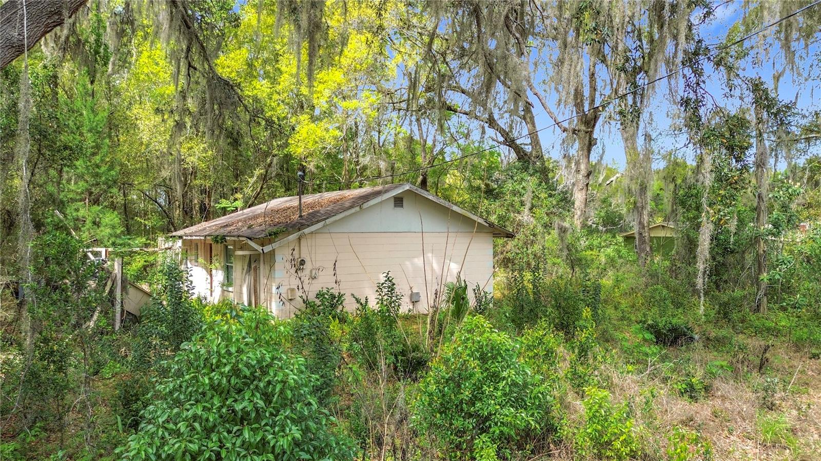 10160 SE 49TH CT, BELLEVIEW, FL — photo 2