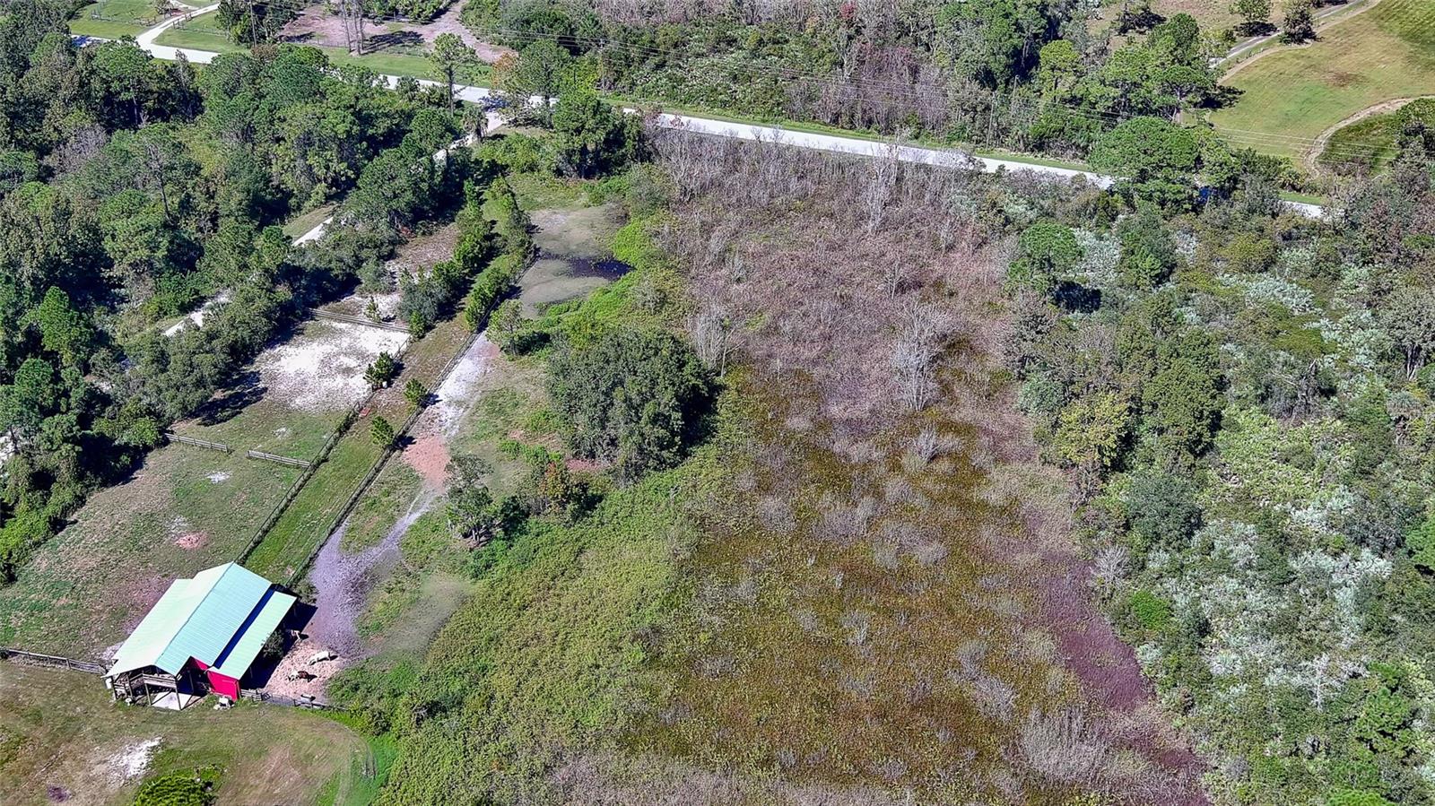 806 W ARIEL RD, EDGEWATER, FL — photo 5