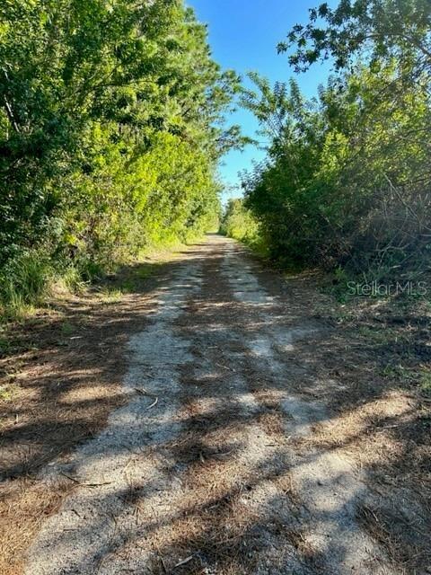 806 W ARIEL RD, EDGEWATER, FL — photo 10
