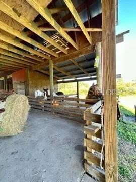 806 W ARIEL RD, EDGEWATER, FL — photo 12