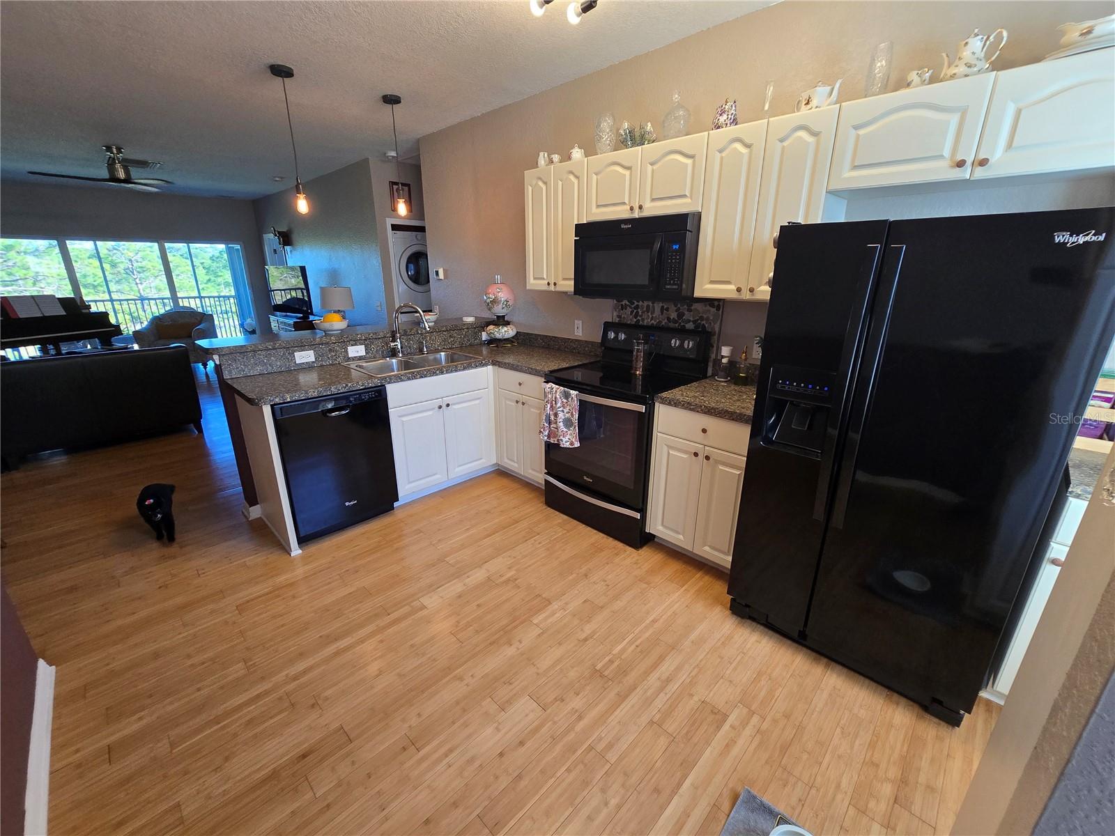 3919 CAPE HAZE DR #505, ROTONDA WEST, FL — photo 12