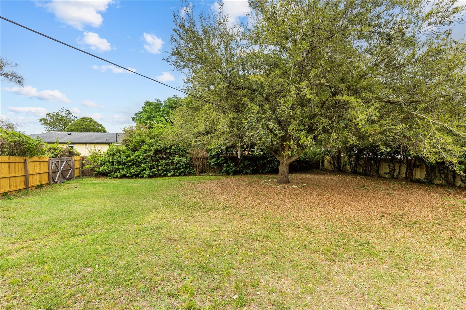 1130 CARLSON DR, ORLANDO, FL — photo 3