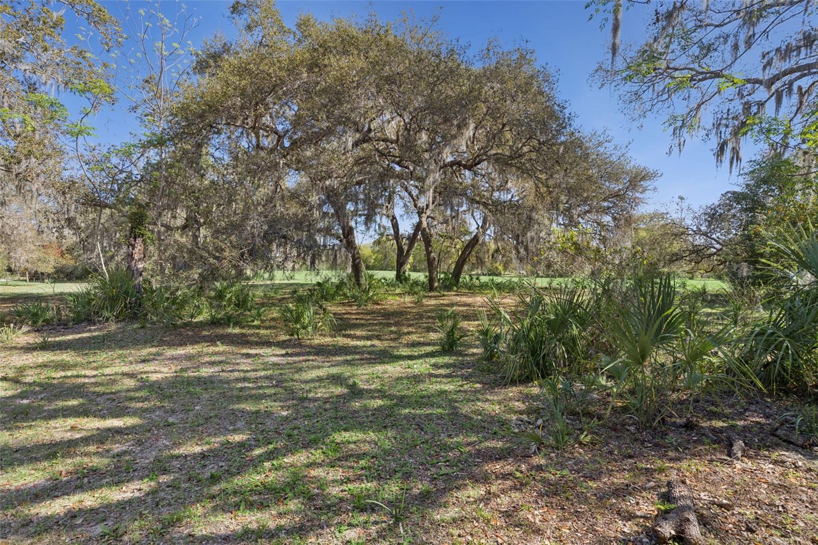 LOT 3 OAK HOLLOW, OVIEDO, FL — photo 6