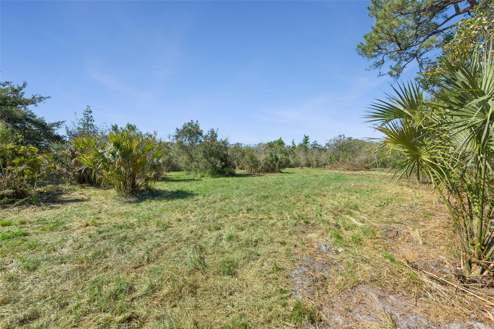 LOT 3 OAK HOLLOW, OVIEDO, FL — photo 9