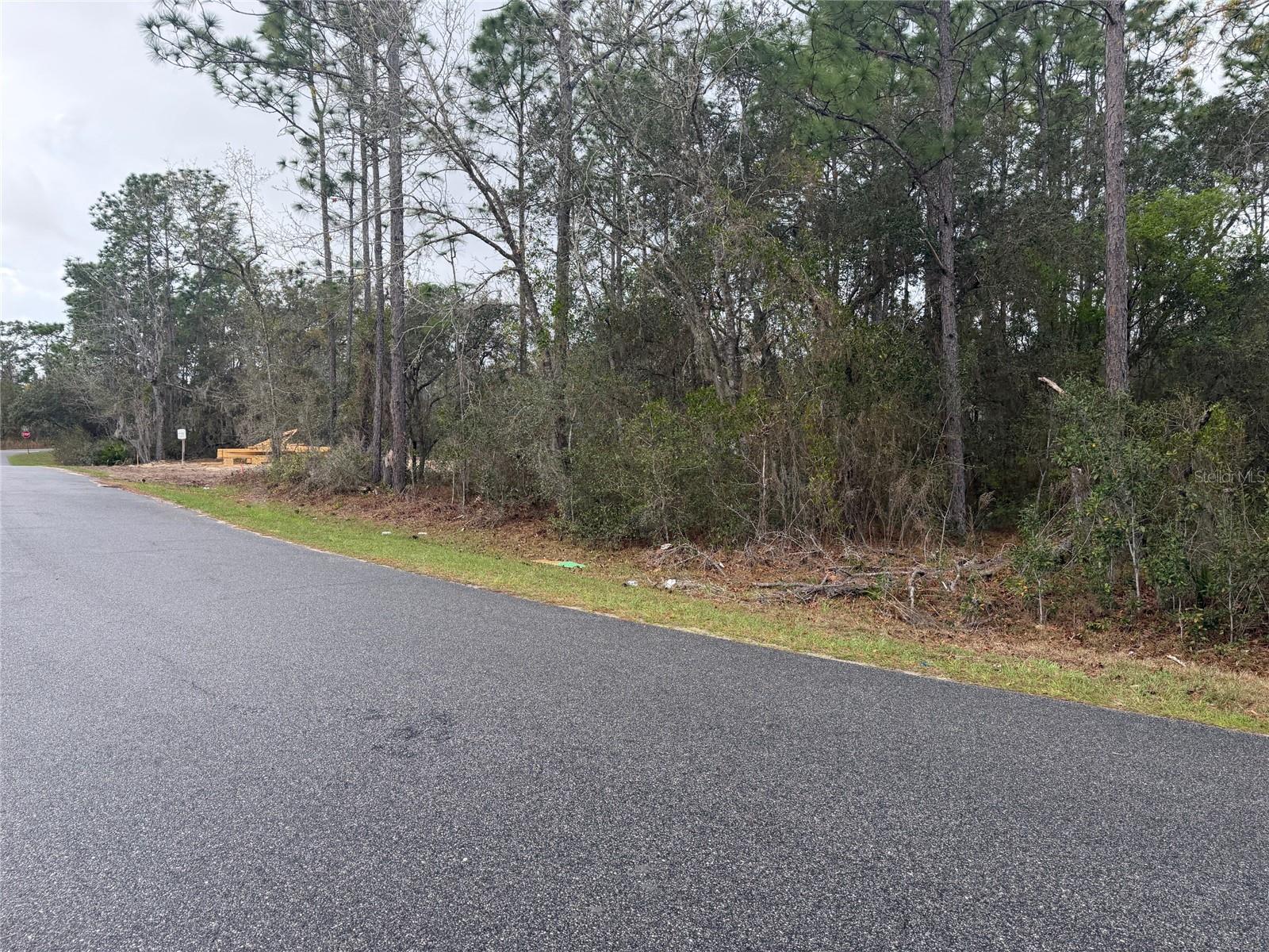0000 FIR DRIVE TRACK, OCALA, FL — photo 2
