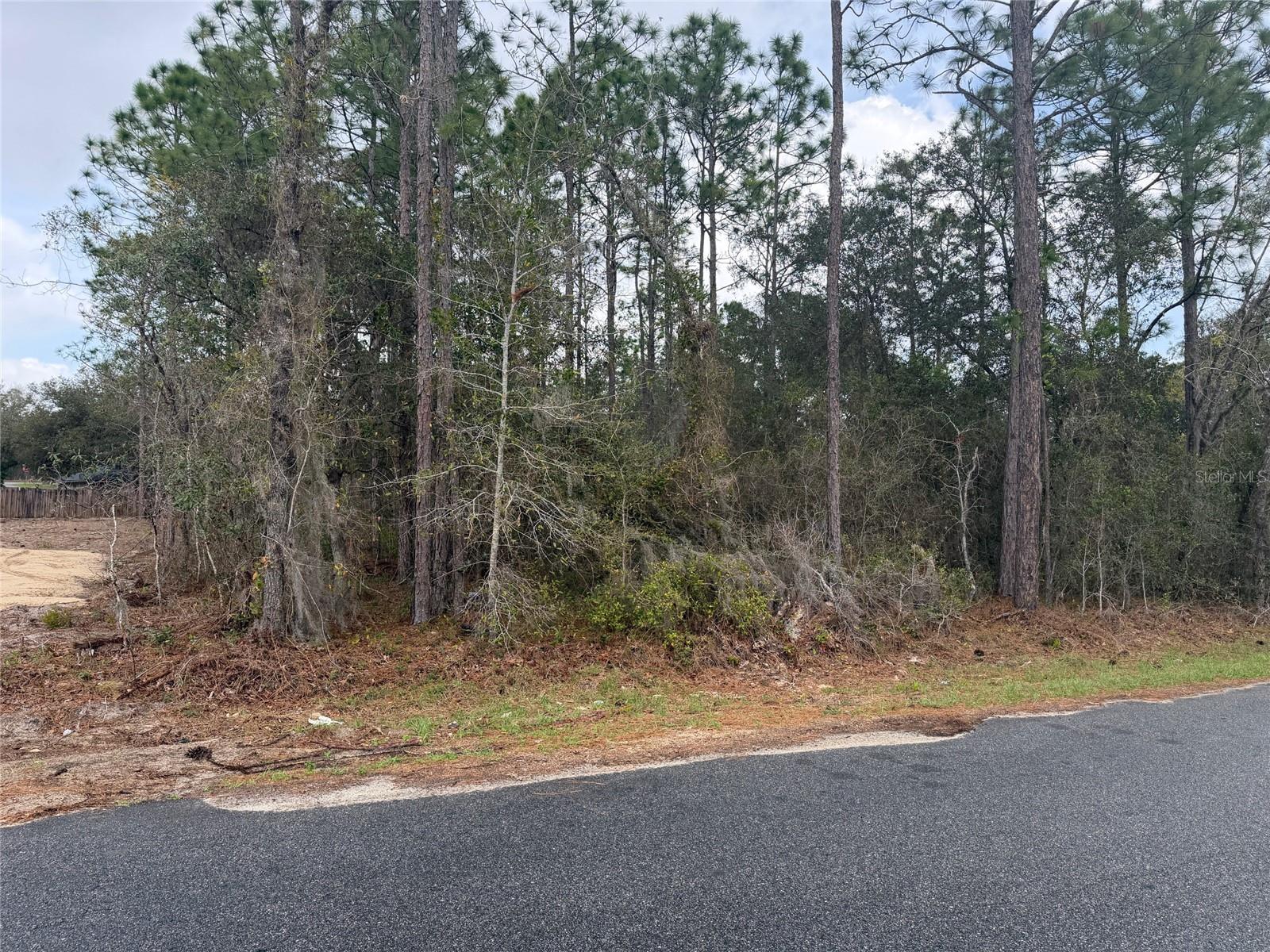 0000 FIR DRIVE TRACK, OCALA, FL — photo 3