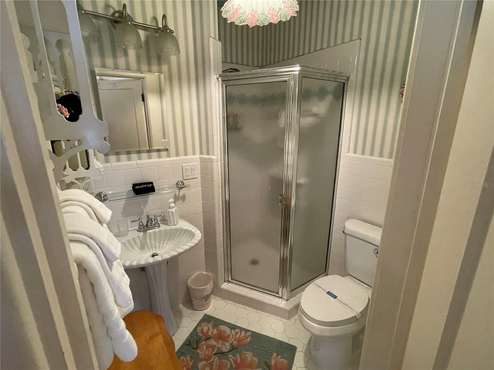 347 E 3RD AVE, MOUNT DORA, FL — photo 87
