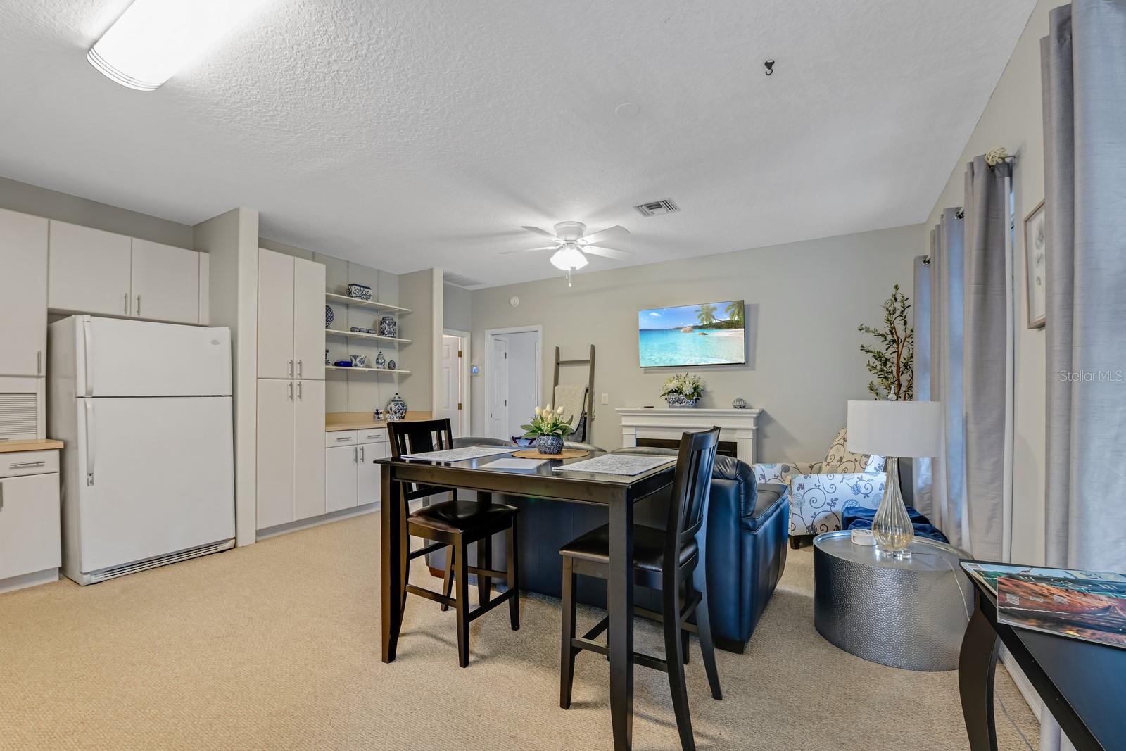 347 E 3RD AVE, MOUNT DORA, FL — photo 143