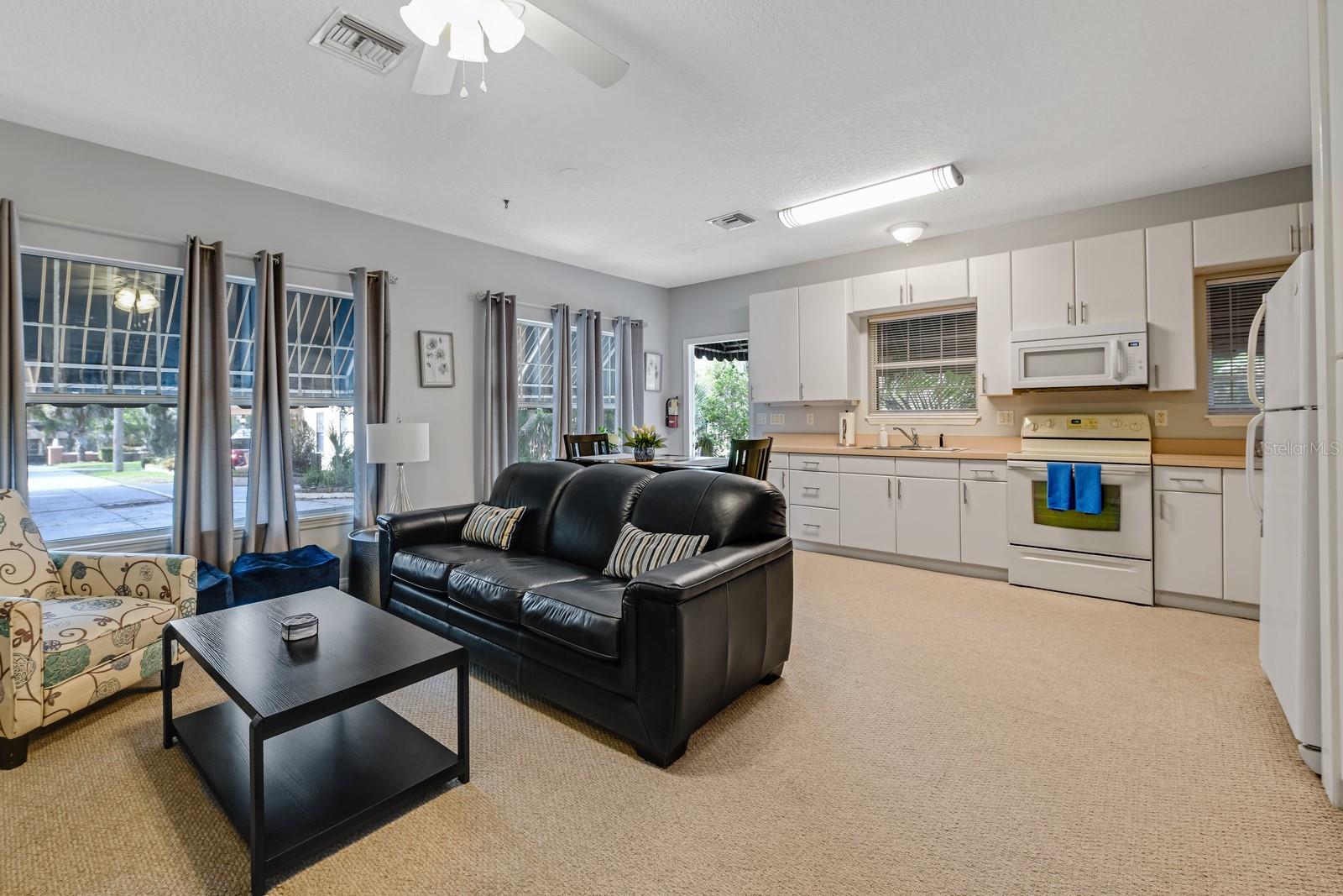 347 E 3RD AVE, MOUNT DORA, FL — photo 145