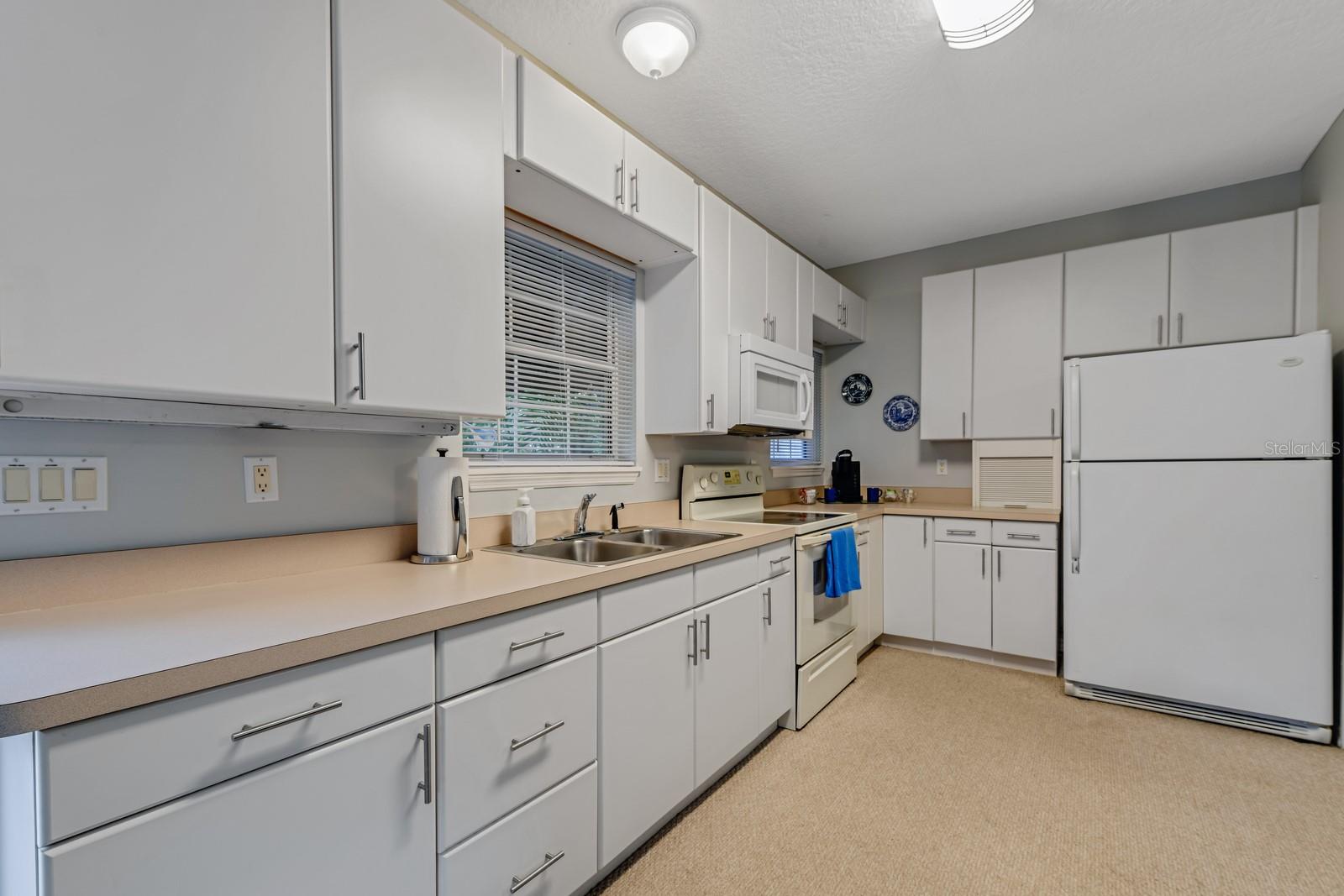 347 E 3RD AVE, MOUNT DORA, FL — photo 148