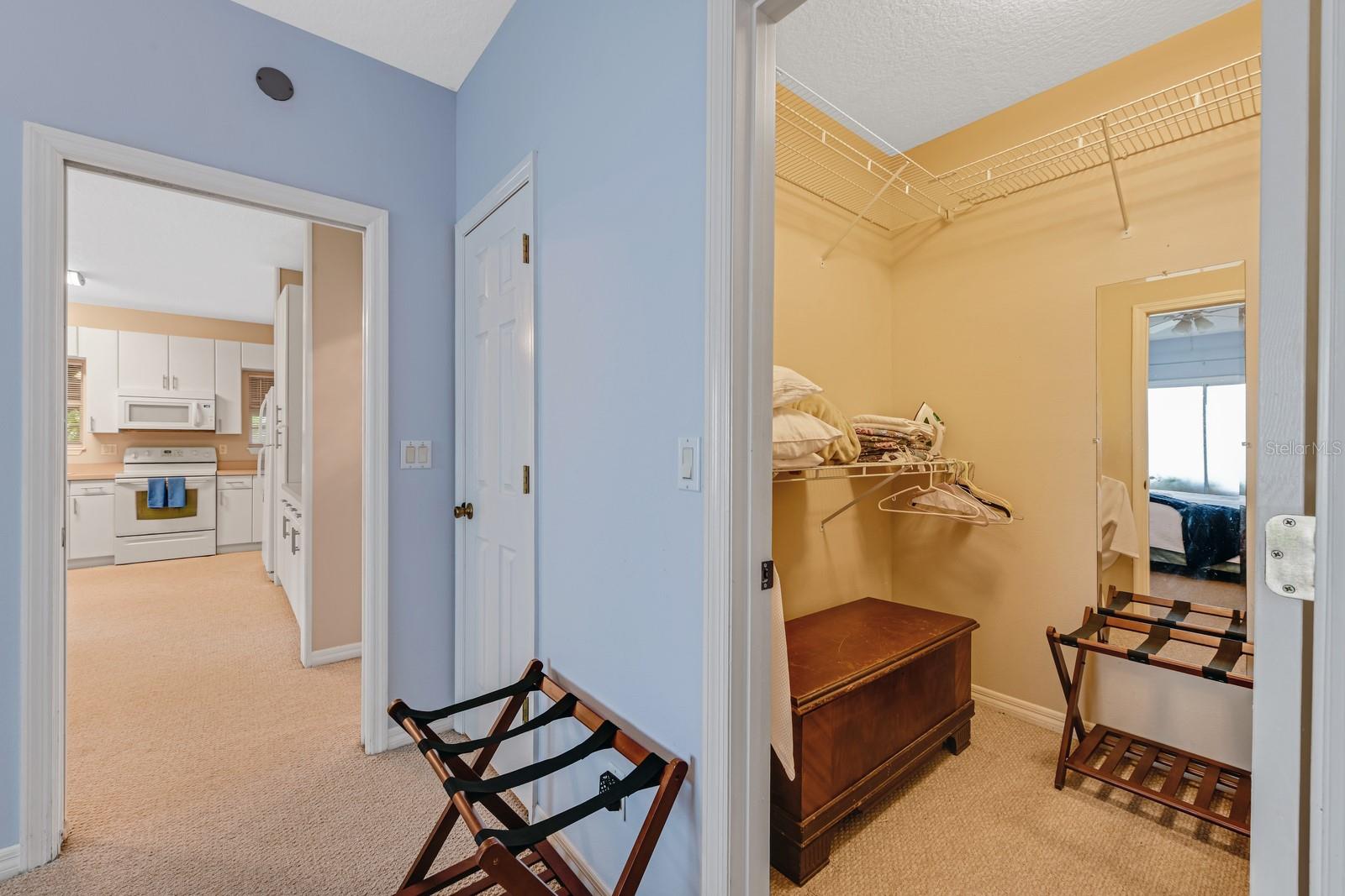 347 E 3RD AVE, MOUNT DORA, FL — photo 151