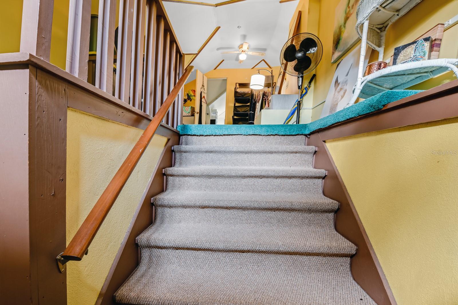 347 E 3RD AVE, MOUNT DORA, FL — photo 176