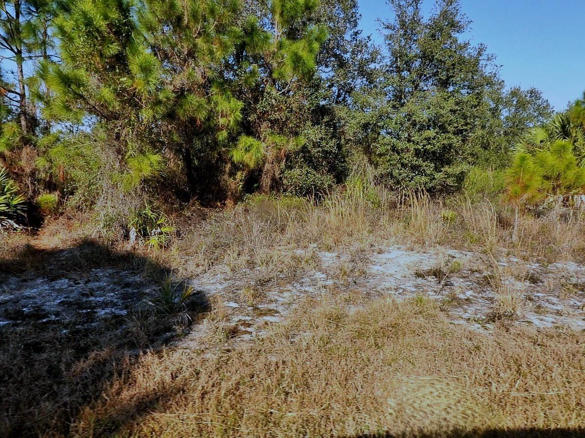 WINTERVILLE CIR, NORTH PORT, FL