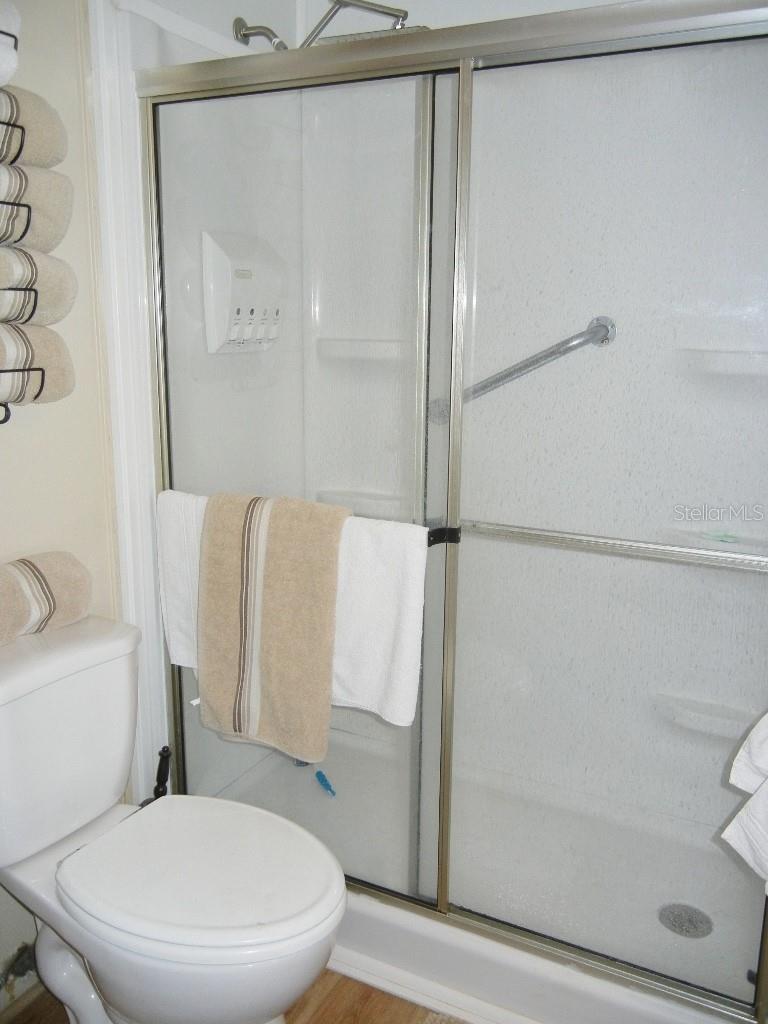 212 RUE DE PONT, TAVARES, FL — photo 40