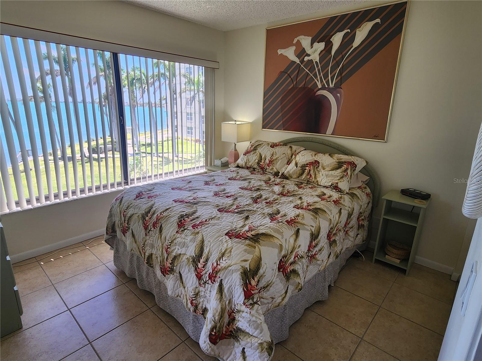 6287 BAHIA DEL MAR CIR #311, ST PETERSBURG, FL — photo 9