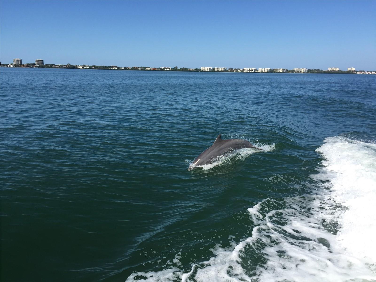 2600 HARBOURSIDE DR #C13, LONGBOAT KEY, FL — photo 20