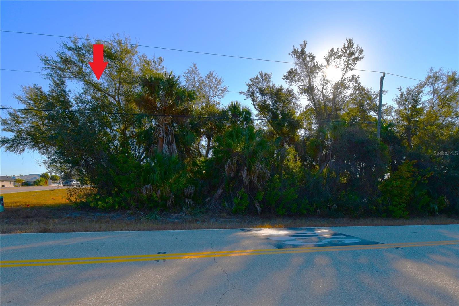 17255 WINTERGARDEN AVE, PORT CHARLOTTE, FL — photo 8