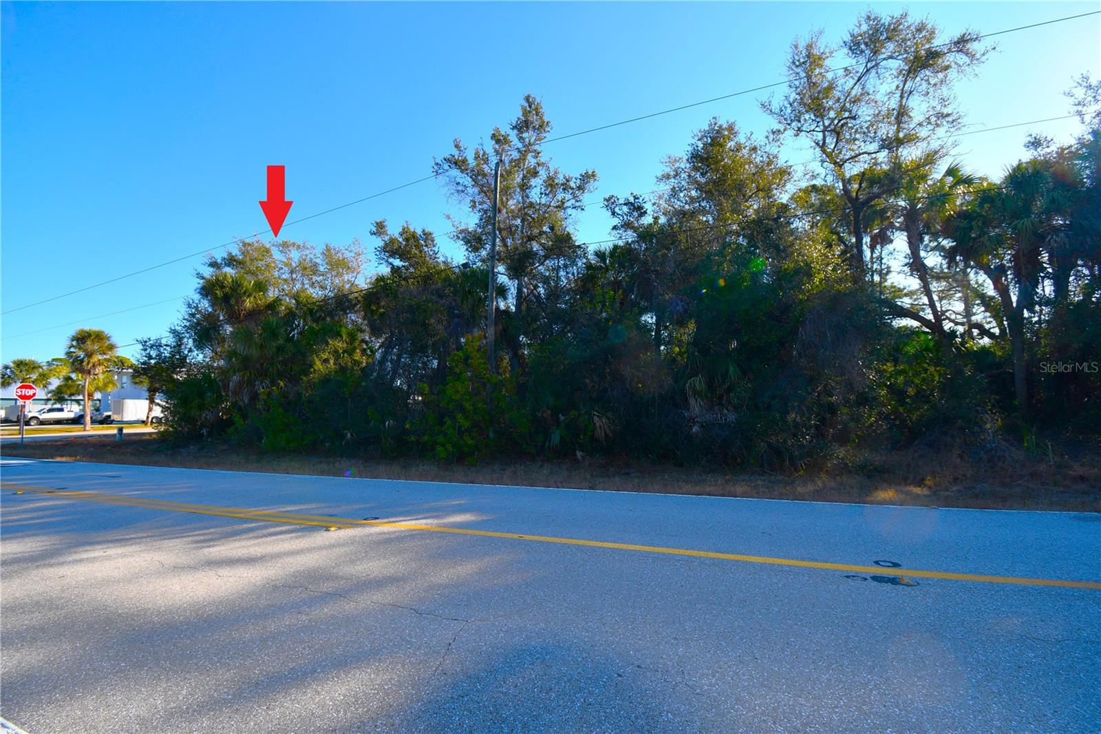17255 WINTERGARDEN AVE, PORT CHARLOTTE, FL — photo 9