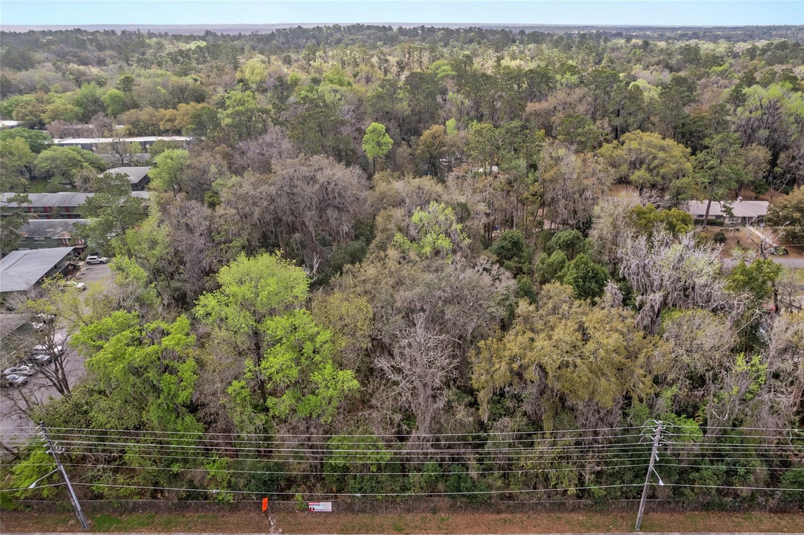 SW 16TH PL, GAINESVILLE, FL — photo 9