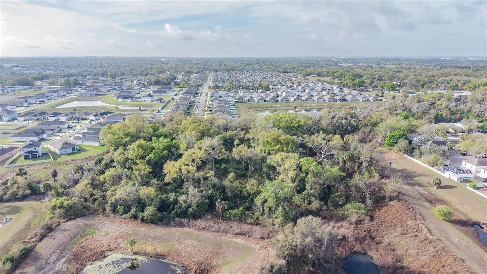 MIRACLE MILE, RIVERVIEW, FL — photo 9
