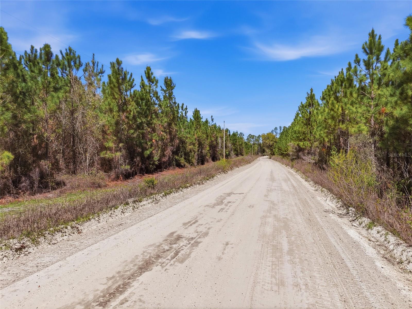 TBD SE POUNDS HAMMOCK RD, LAKE CITY, FL — photo 10