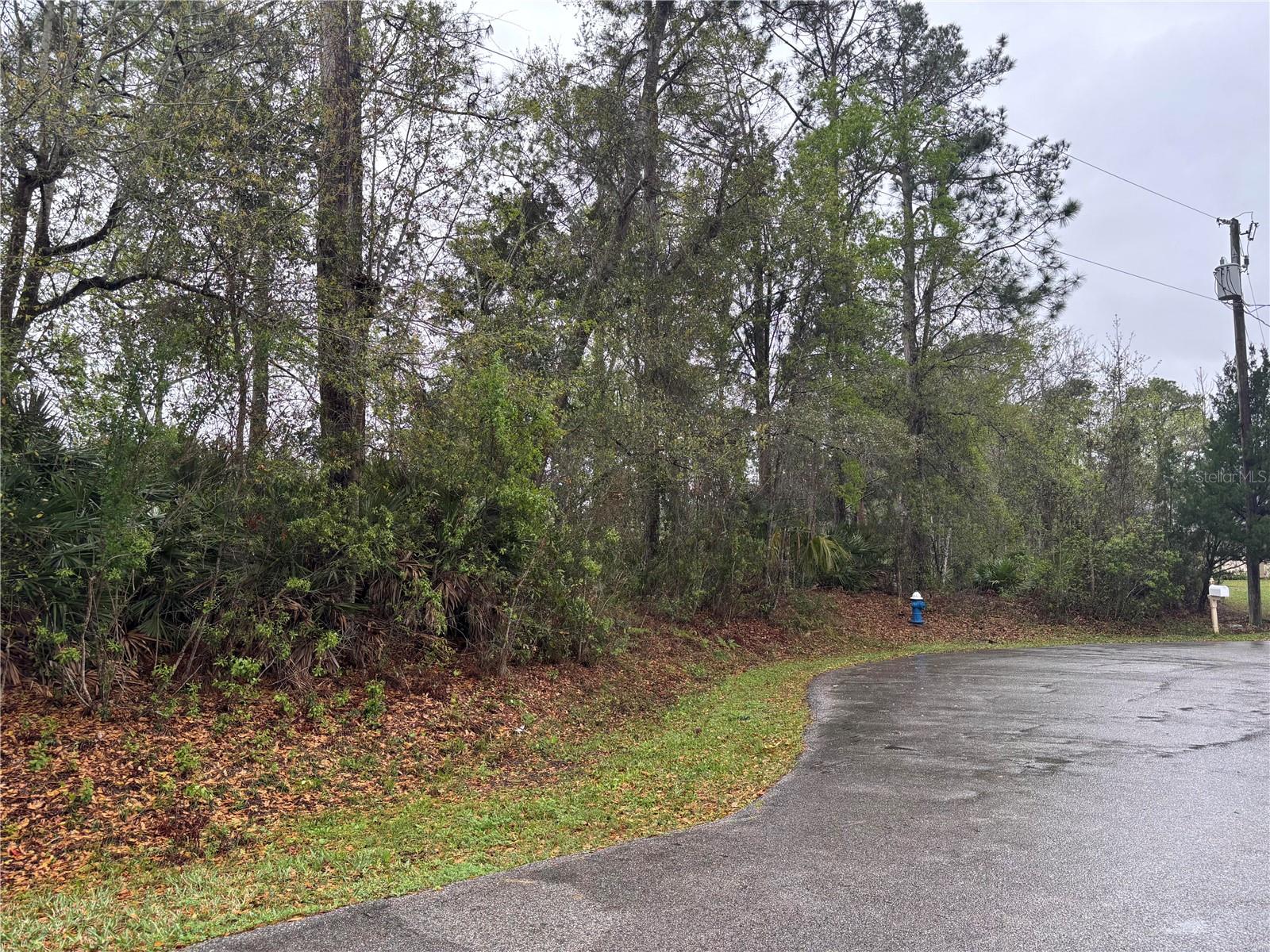 5 WOODCHUCK PL, PALM COAST, FL — photo 2