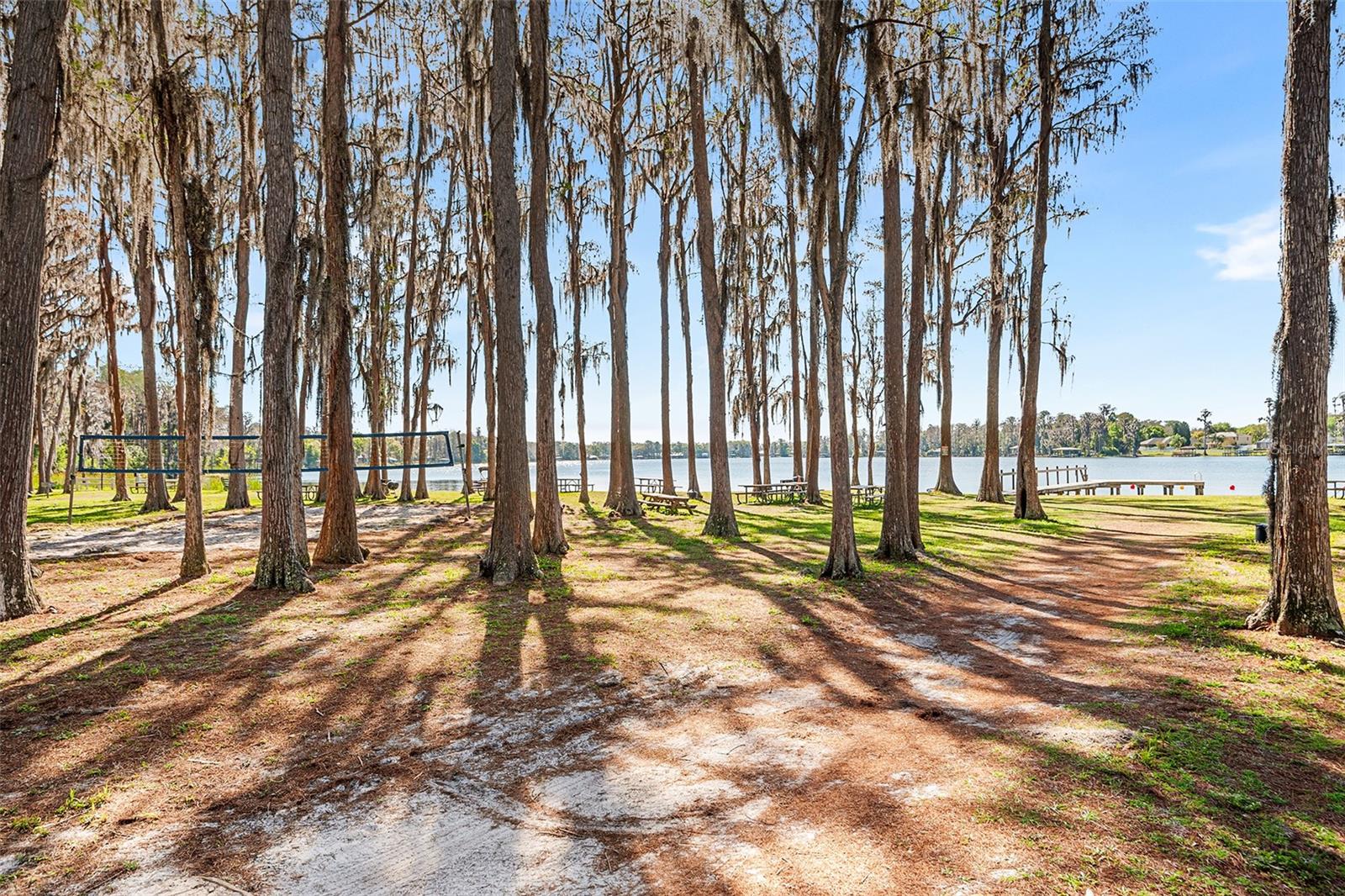 1817 BEACHWAY LN, ODESSA, FL — photo 19