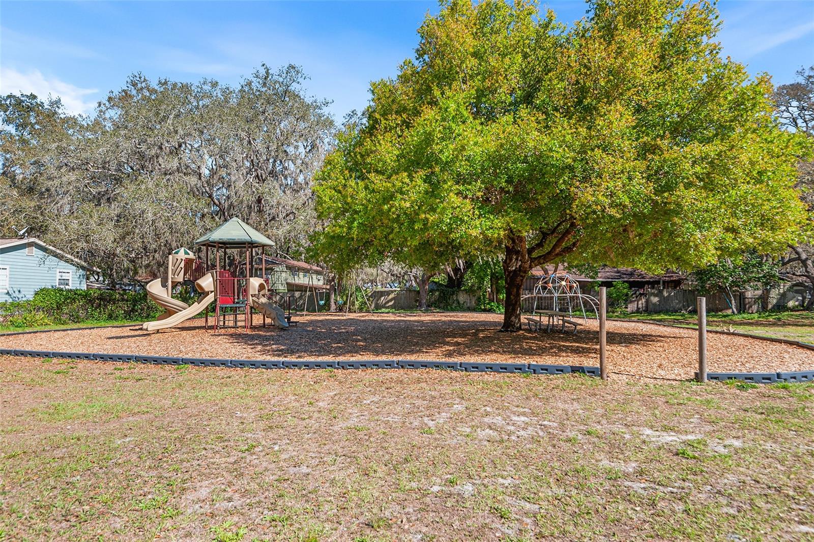 1817 BEACHWAY LN, ODESSA, FL — photo 21
