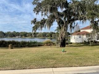519 W BLUE WATER EDGE DR, EUSTIS, FL — photo 5