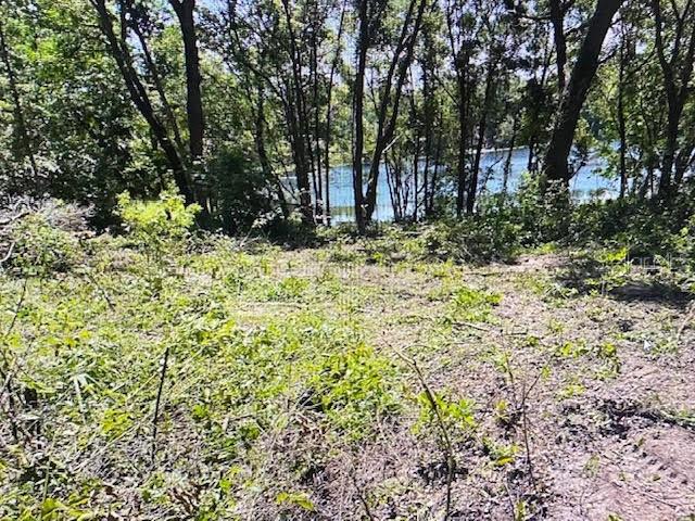 2&3 SPRING LAKE RD, FRUITLAND PARK, FL — photo 3