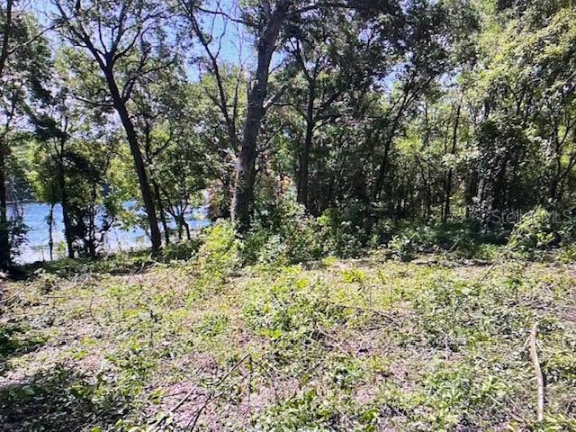 2&3 SPRING LAKE RD, FRUITLAND PARK, FL — photo 7