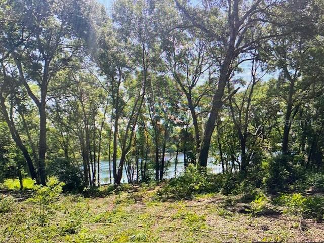 2&3 SPRING LAKE RD, FRUITLAND PARK, FL — photo 9