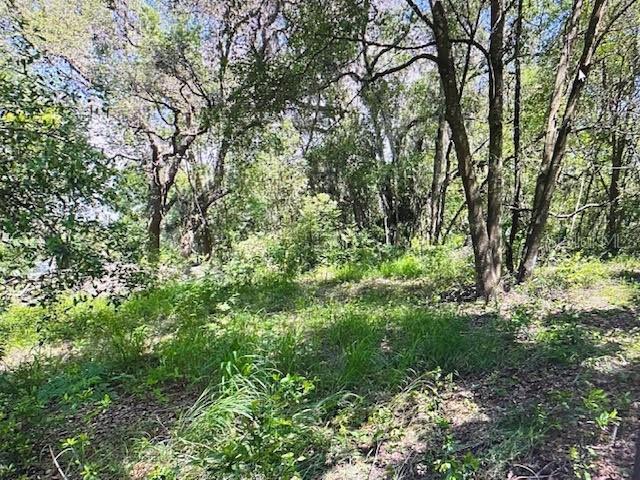 2&3 SPRING LAKE RD, FRUITLAND PARK, FL — photo 12