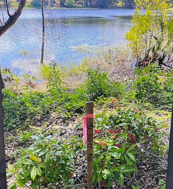 2&3 SPRING LAKE RD, FRUITLAND PARK, FL — photo 14