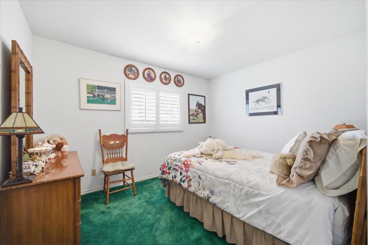 9449 ROBERTS RD, ODESSA, FL — photo 30