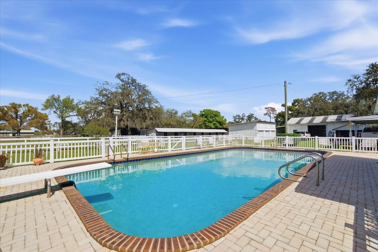 9449 ROBERTS RD, ODESSA, FL — photo 45