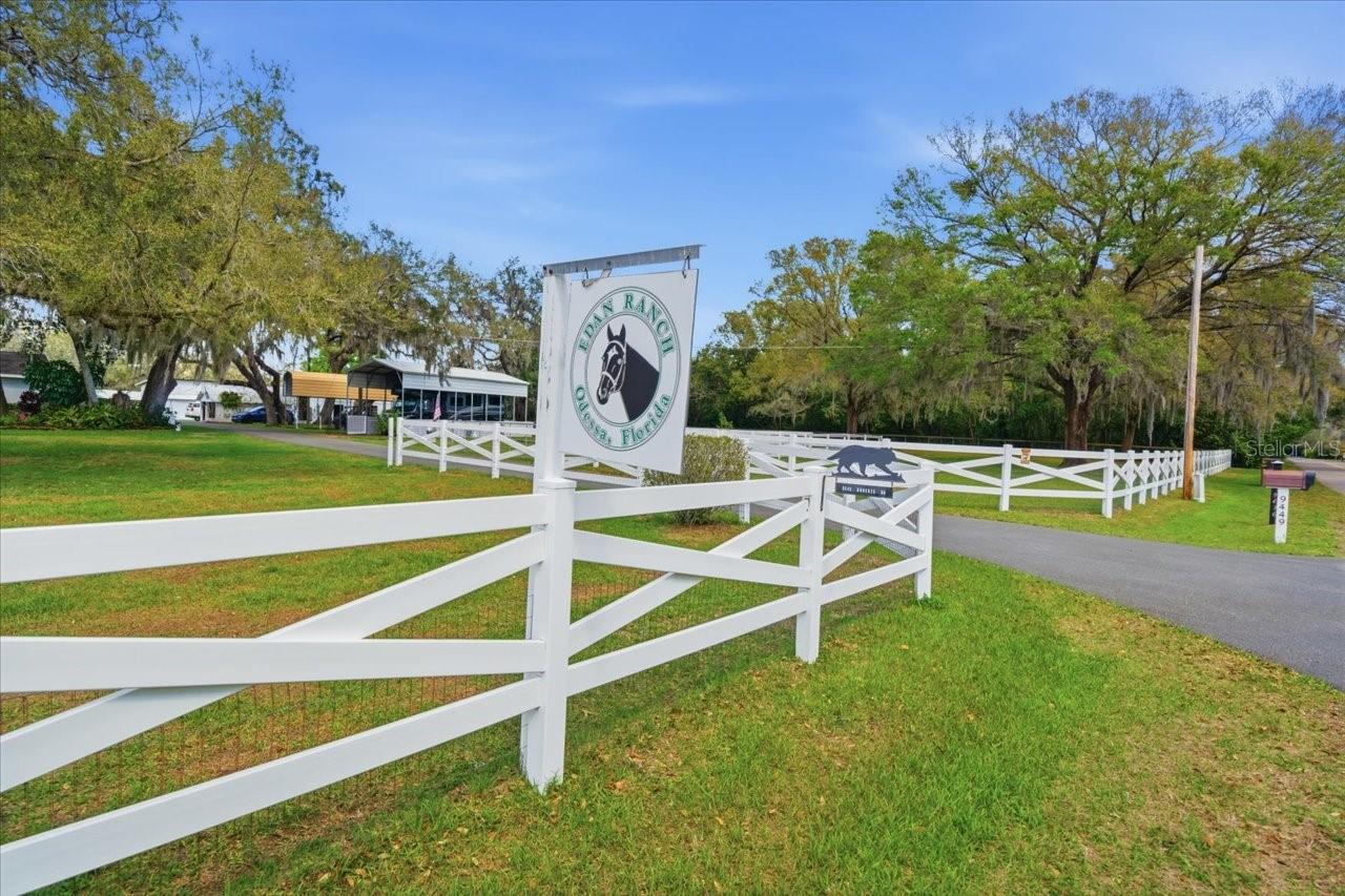 9449 ROBERTS RD, ODESSA, FL — photo 46